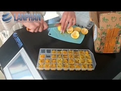 Casa Secador de frito a vácuo Liofilante de frutas Equipamento