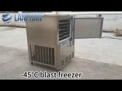 -45℃ Máquina de Resfriamento Rápido de Alimentos Comercial 130L Venda Congelador Rápido/Instantâneo de Peixe/Frango