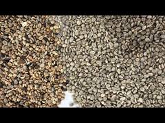 Máquina de Classificação de Cor de Arroz Grãos de Café Arroz Grão de Trigo Máquina de Classificação Automática