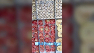 Liofilizador comercial com capacidade de 12kg para preservação de alimentos