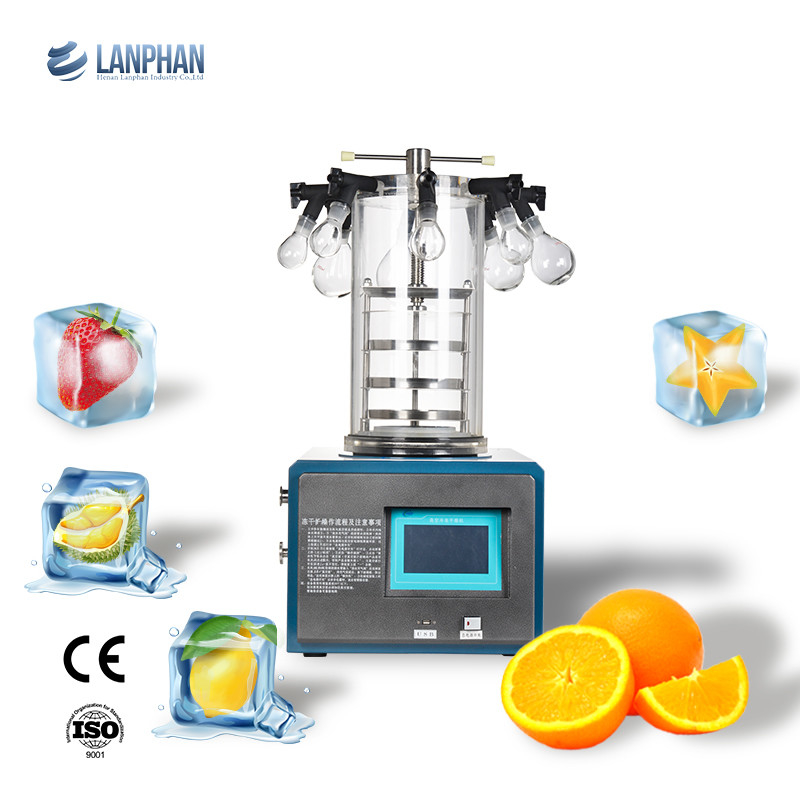 Prova de corrosão do laboratório da máquina de secagem 220V do secador de gelo do vácuo do fruto
