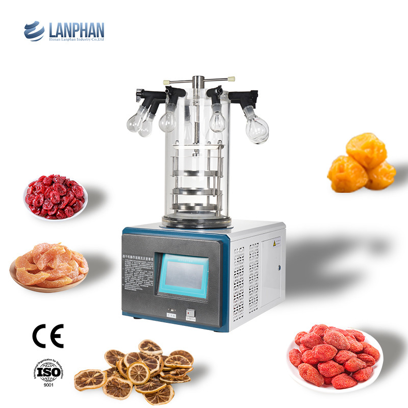 Prova de corrosão do laboratório da máquina de secagem 220V do secador de gelo do vácuo do fruto