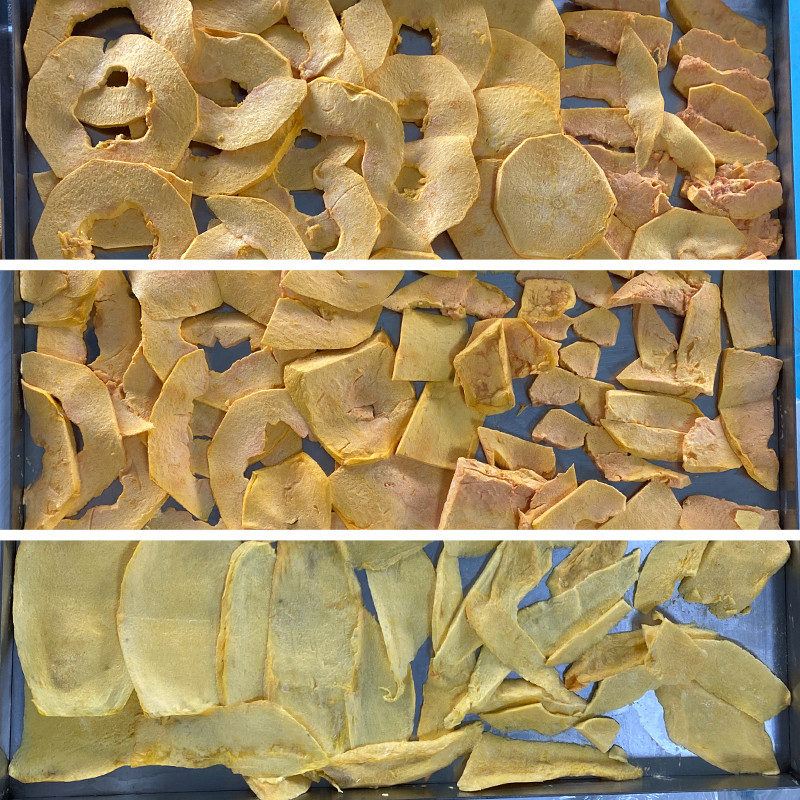 Lyophilizer mais seco pequeno 2300W do gelo do vácuo do agregado familiar para os alimentos para animais de estimação 220v da carne do fruto
