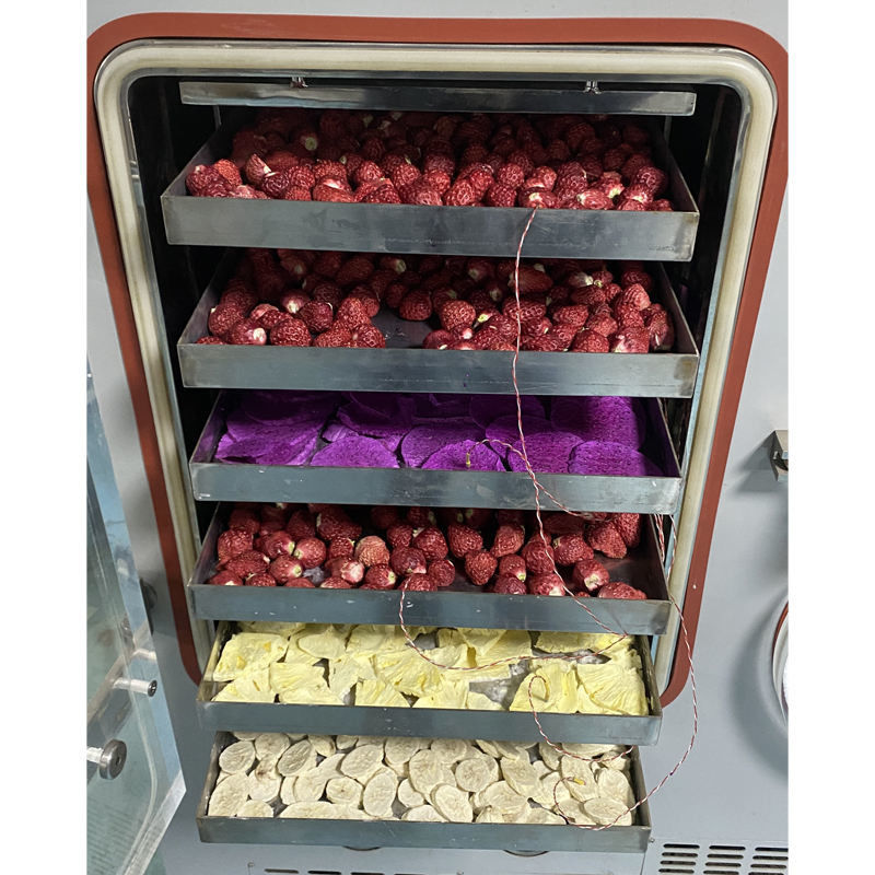 Liofilizador de Laboratório com Área de Liofilização de 0,4 m², Sistema Refrigerado a Ar e Capacidade de Captura de Água de 6 kg/24h