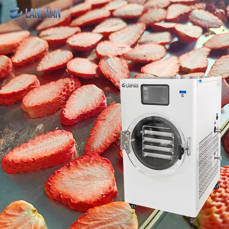 Máquina de secagem por congelamento de alimentos Máquina de secagem por congelamento comercial Bomba de vácuo para alimentos Doces de frutas