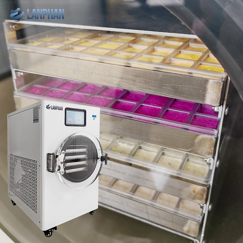 Máquina de congelamento a vácuo Secadores de congelamento em casa Equipamentos de secagem de alimentos com filtro de névoa de óleo