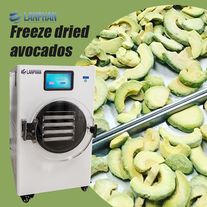 Máquina de secagem de frutas de aço inoxidável Secadora de vácuo para alimentos