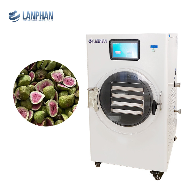 Máquina de secagem de frutas de aço inoxidável Secadora de vácuo para alimentos