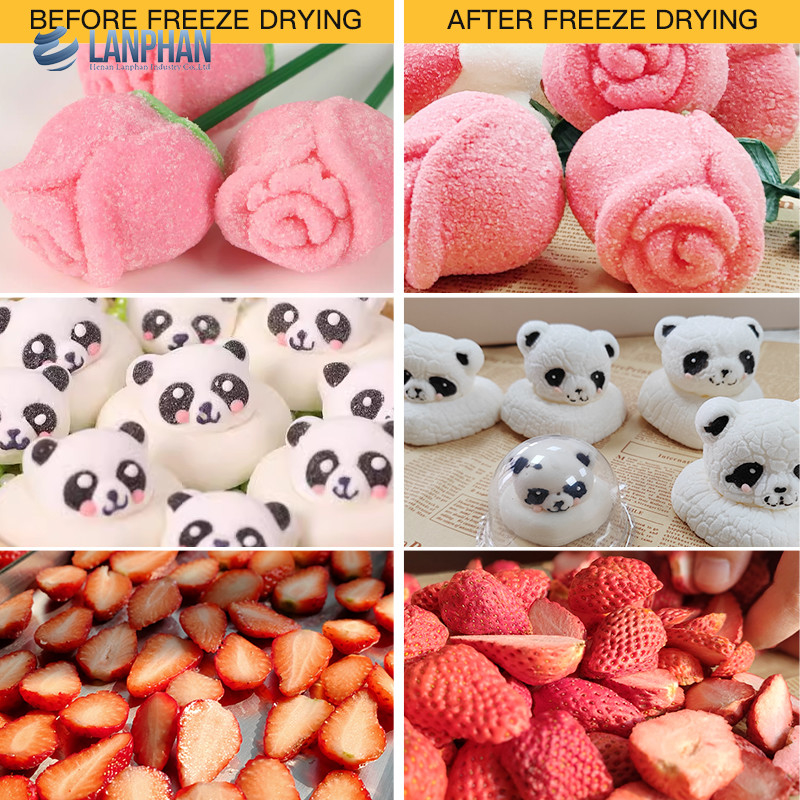 Lanphan 7-Tray Medium Home Freeze Dryer Preto Branco Freeze Dry At Home para frutas alimentares