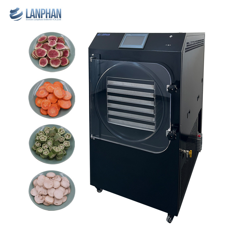 6 bandejas Equipamento de secagem por congelamento a vácuo Secador por congelamento de produção em grande escala na indústria alimentar