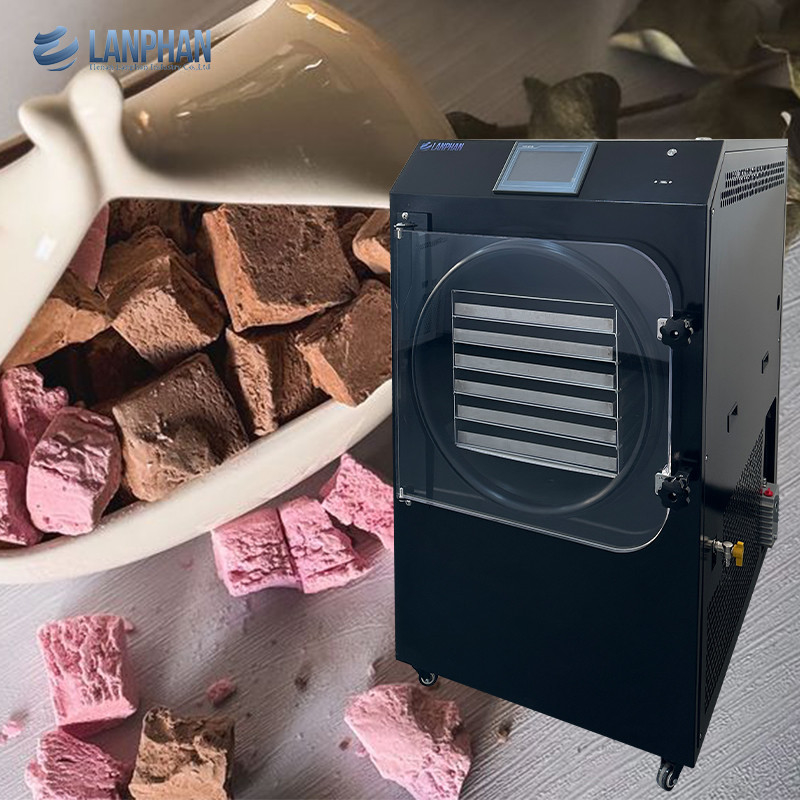 20 kg-25 kg/lote Secador de congelamento Equipamento de secagem a vácuo para sorvete Sandwich iogurte