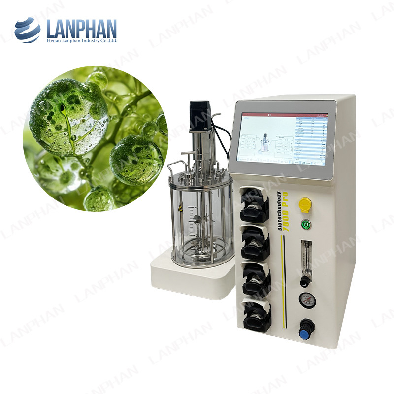 Levedura espirulina Biorreator de laboratório de vidro Biorreator de fermentação Biorreator de cultura de células animais Biorreator 10L/5L