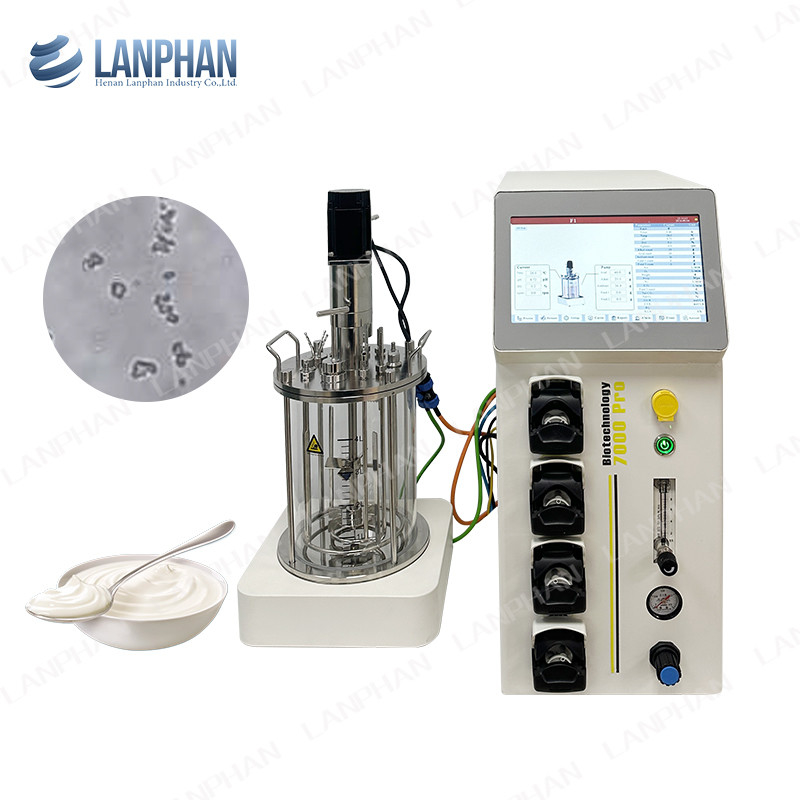 Biorreactor de fermentação microbiana / bacteriana 1l Biorreactor de fermentação de laboratório para algas