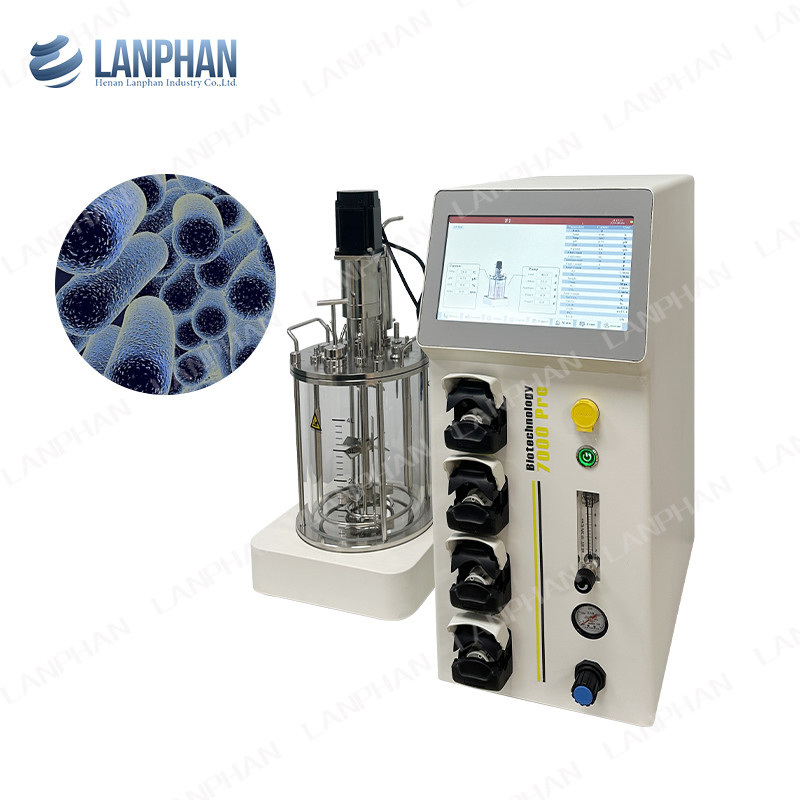 Vaccina de laboratório Vidro Fermentação Biorreactor batch alimentado Benchtop Biorreactor de tanque de mistura