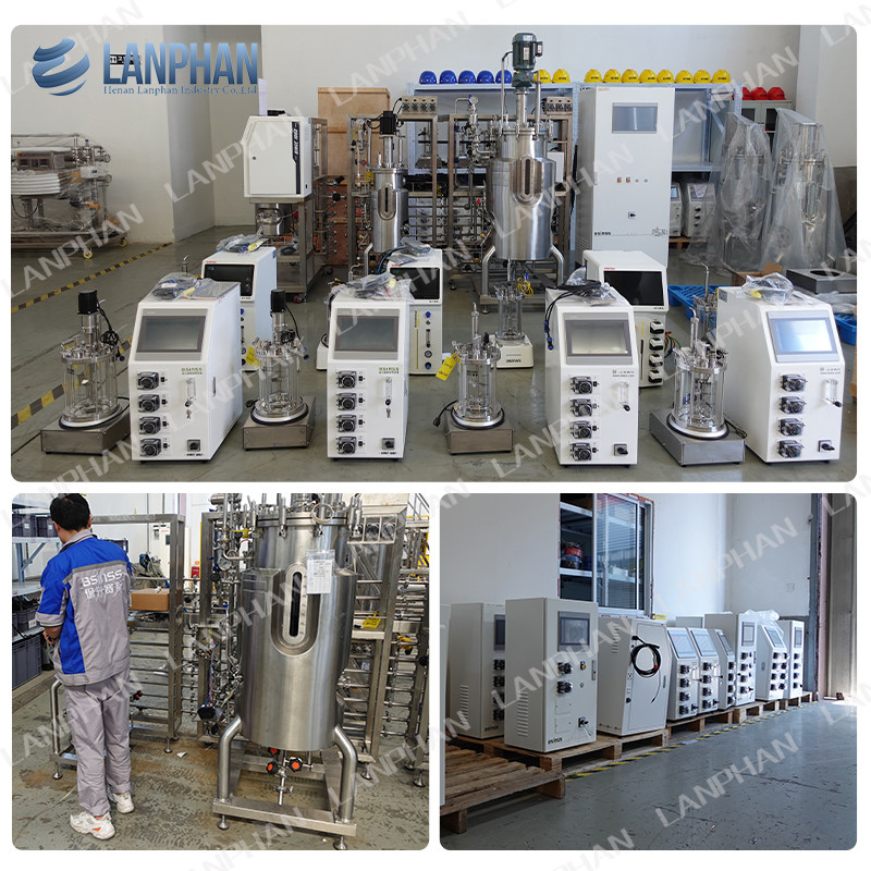 2l 5l 10l Culturas automáticas de levedura de espirulina Biorreator de fermentação de vidro para culturas celulares