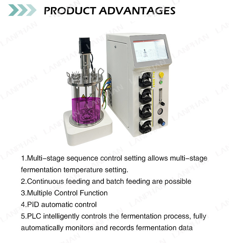 Biorreactor de fermentação microbiana / bacteriana 1l Biorreactor de fermentação de laboratório para algas