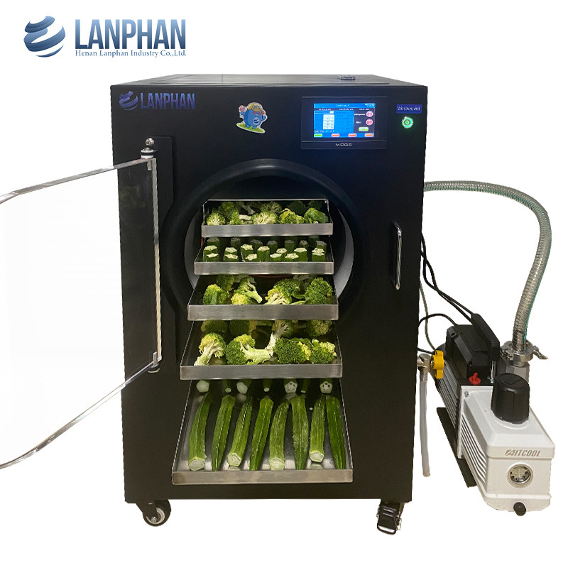 Máquina de secagem por congelamento rápido Máquina de secagem por congelamento secadora congela doces secos alimentos líquidos vácuo Equipamento de secagem por congelamento