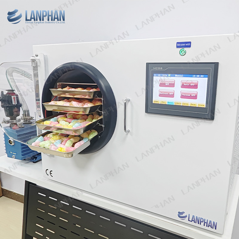 2-3 kg/ lote Frutas Vegetais Leite Sucos De Café Secador Máquina Secador de Congelamento Para Casa