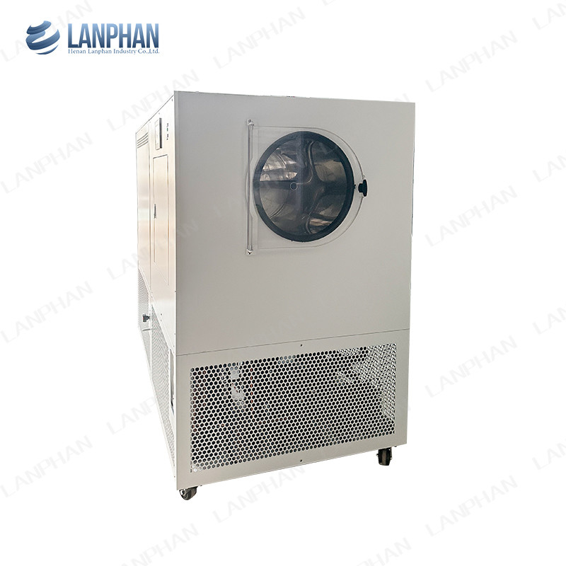 Lanphan Máquina automática de secagem por congelamento grande 5m2 Máquina de secagem por congelamento para carnes frutas e legumes
