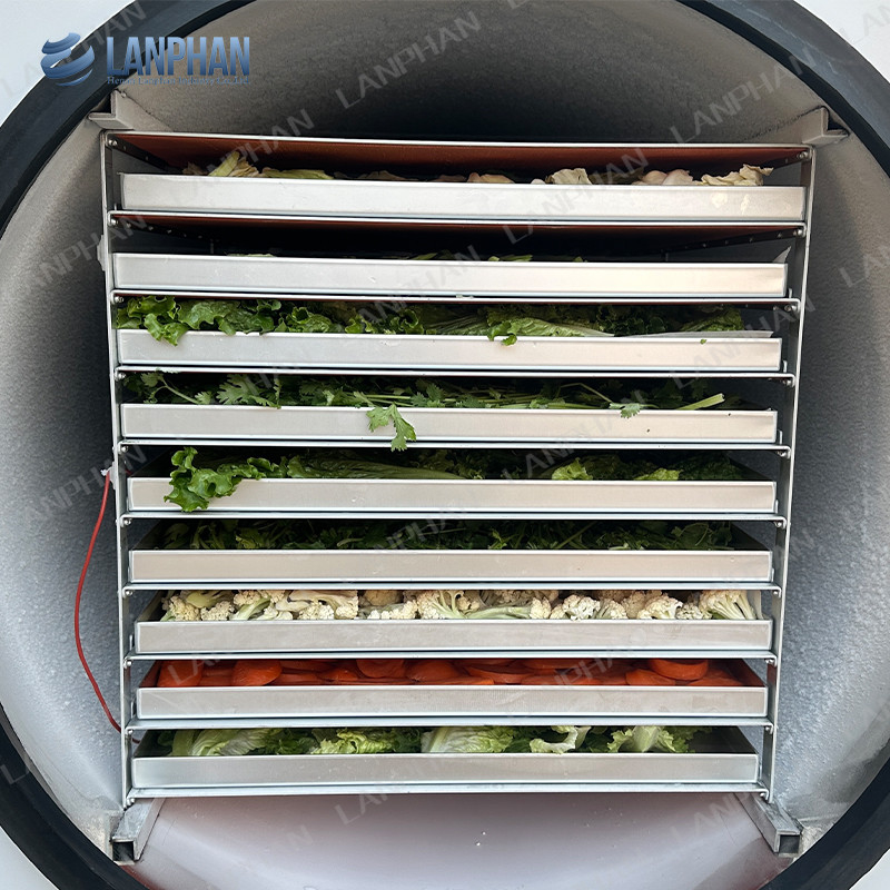 Lanphan Máquina automática de secagem por congelamento grande 5m2 Máquina de secagem por congelamento para carnes frutas e legumes