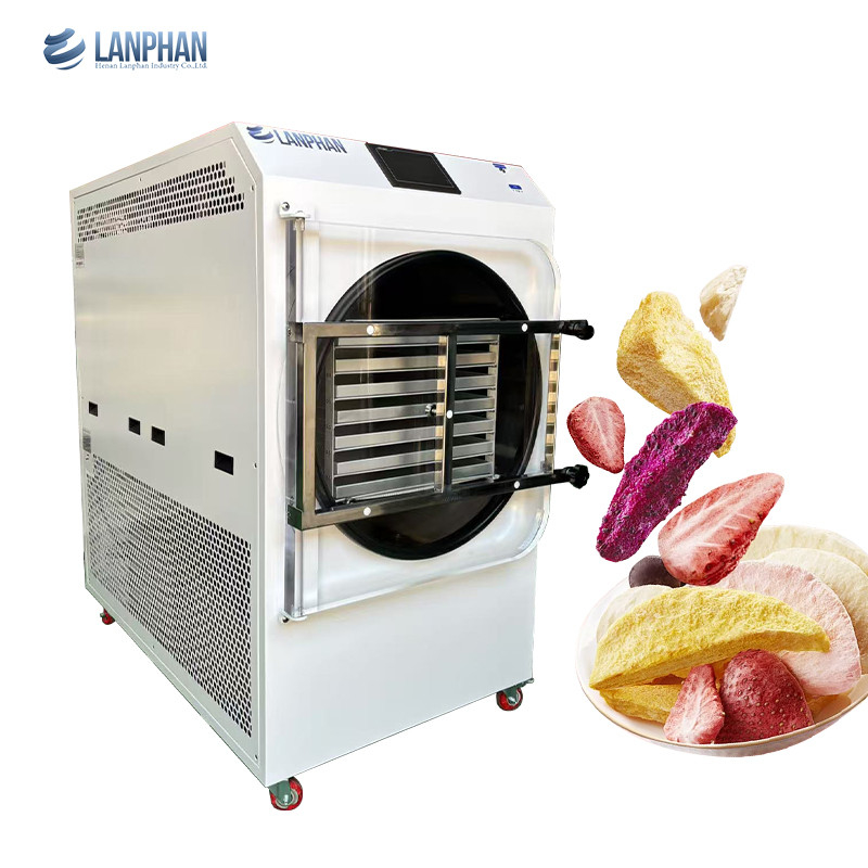 4m2 14 Large Trays Vacuum Food Freeze Dryer Fábrica Fabricante de frutas e legumes