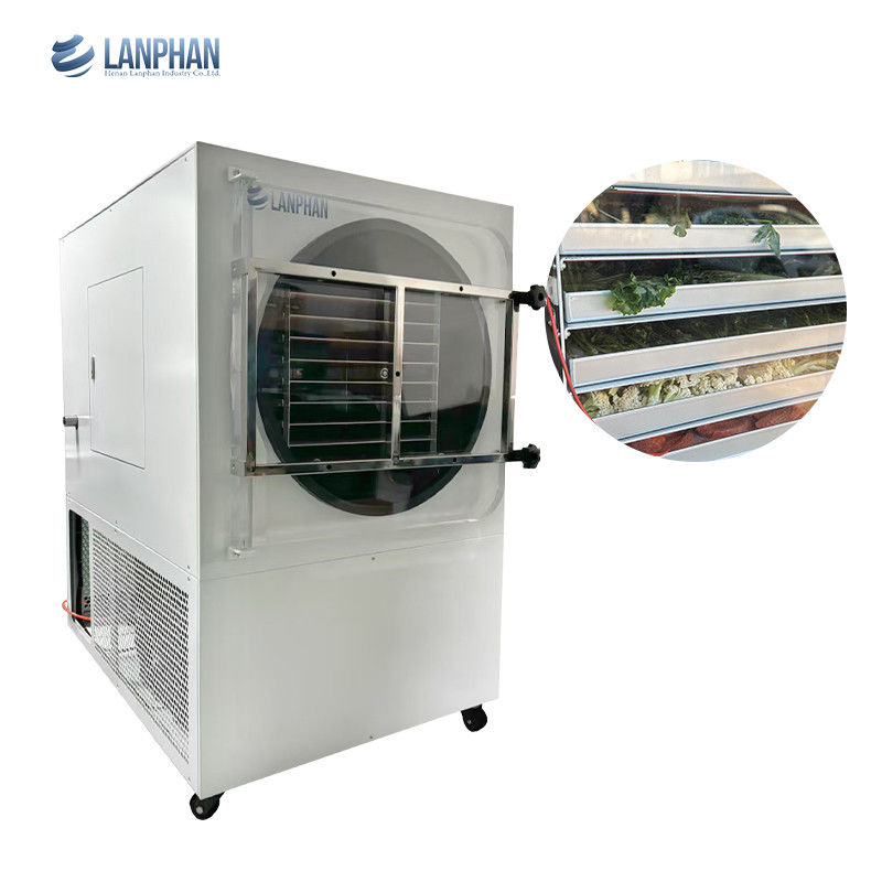 Máquina de secagem por congelamento de alimentos industrial de 60 a 70 kg 18 bandejas 5m2 para frutas, vegetais, café, leite e ovos