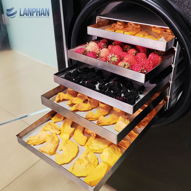 Máquina de secagem por congelamento a vácuo Máquina de secagem por congelamento para carne Alimentos para animais de estimação Máquina de secagem por congelamento de frutas