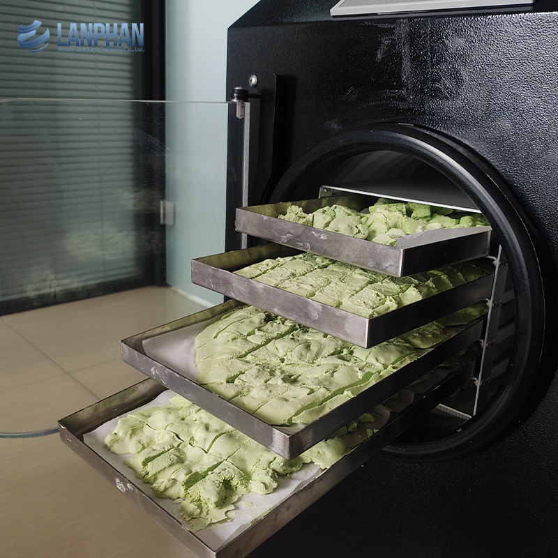 Máquina de secagem por congelamento a vácuo Máquina de secagem por congelamento para carne Alimentos para animais de estimação Máquina de secagem por congelamento de frutas