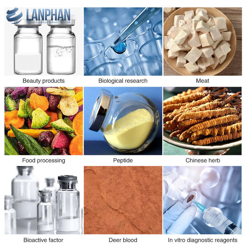 Máquina de liofilização a vácuo para laboratório para formulação de produtos farmacêuticos biológicos e alimentícios