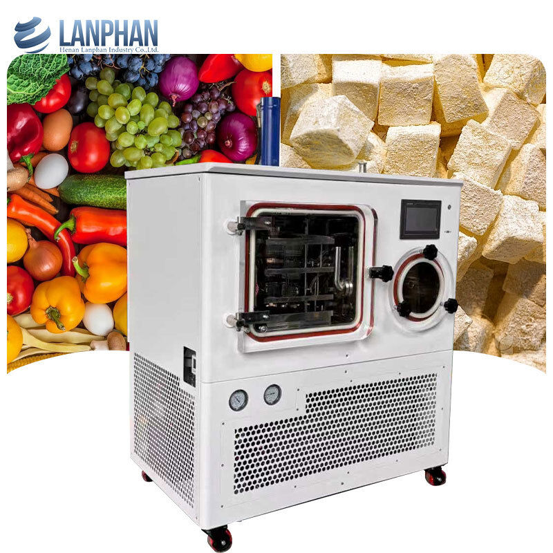 Liofilizador industrial de laboratório para liofilização em lote de 8 kg/lote, produtos farmacêuticos, produtos microbianos