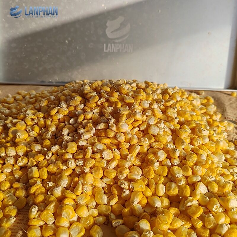 4-6Kg Máquina automática de secagem por congelamento a vácuo para uso doméstico