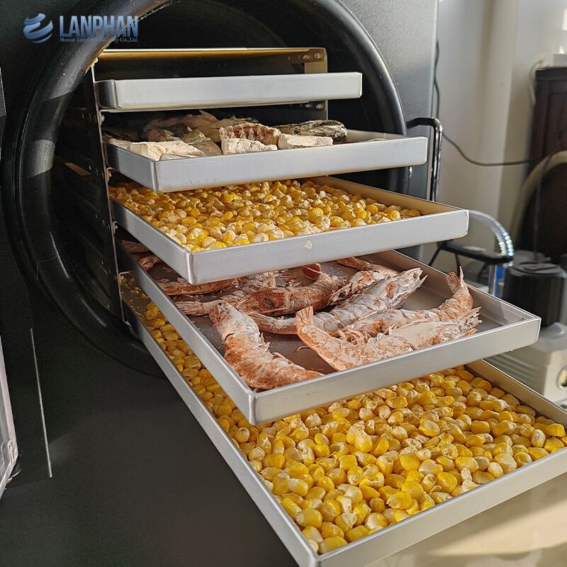 5 bandejas pequeno tamanho secador de congelamento de aço inoxidável com bomba de óleo para alimentos doces