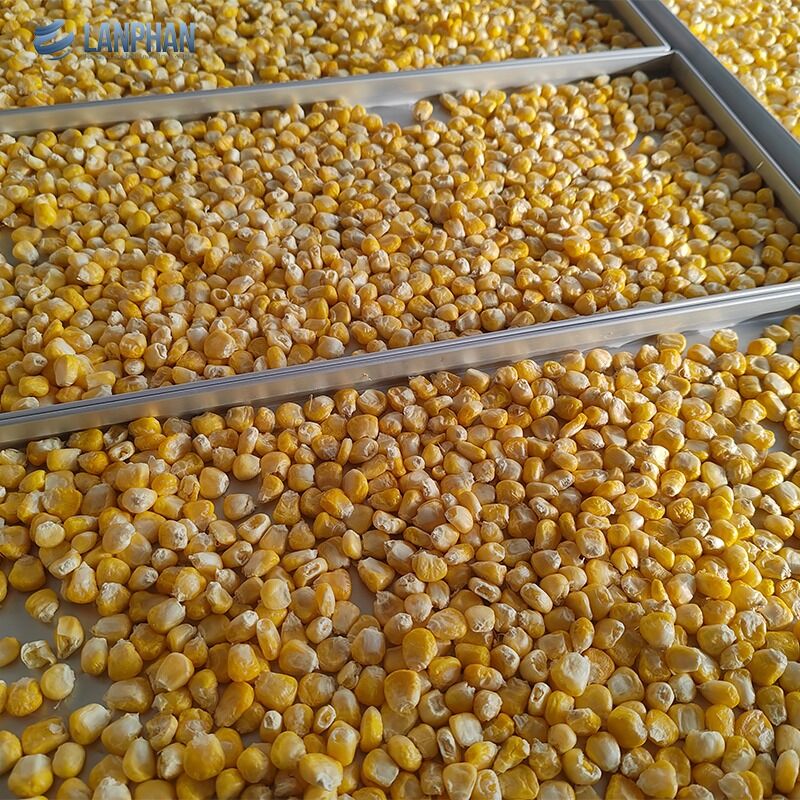 5 bandejas pequeno tamanho secador de congelamento de aço inoxidável com bomba de óleo para alimentos doces