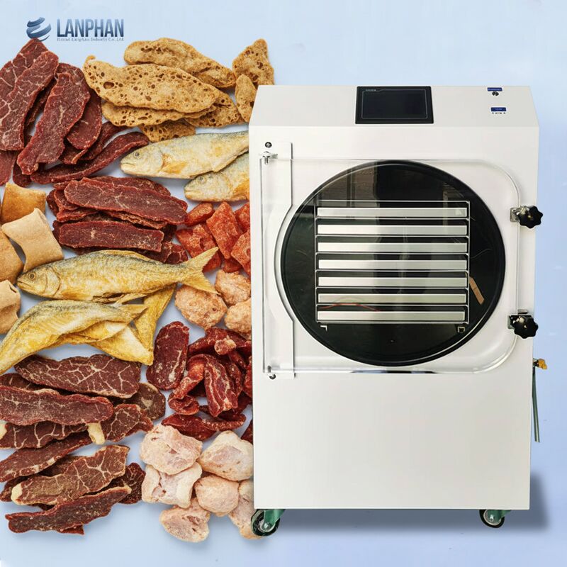 HFD-35 -70℃ Ultra Low Temperature 5500w Industrial Freeze Drying Machine For Food Fruit Vegetable