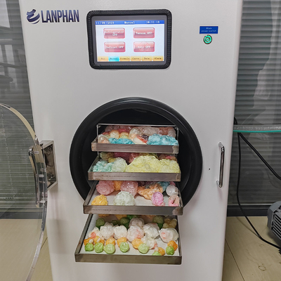 4 bandejas Máquina de secagem a vácuo de frutas e vegetais Máquina de secagem a frio para casa pequena
