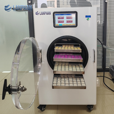 Home Equipamento de secagem por congelamento Máquina de secagem por congelamento de frutas secas para iogurte de banana e manga