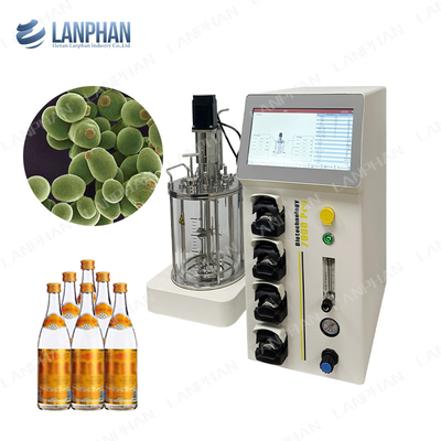 Vaccina de laboratório Vidro Fermentação Biorreactor batch alimentado Benchtop Biorreactor de tanque de mistura