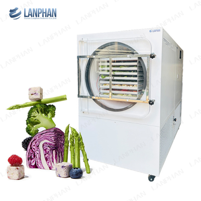 Lanphan Máquina automática de secagem por congelamento grande 5m2 Máquina de secagem por congelamento para carnes frutas e legumes