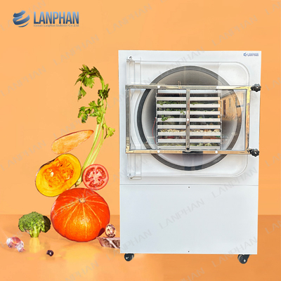 Máquina de secagem por congelamento a vácuo de frutas