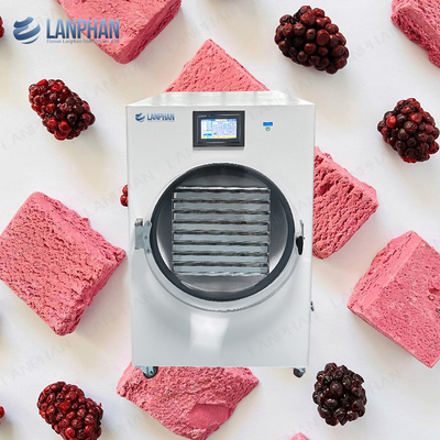 3M2 Lanphan Candy Cake Freeze Dryer Machine Fruit Vegetable Freeze Drying Lypholizer Machine Máquina de secagem por congelamento de frutas e vegetais