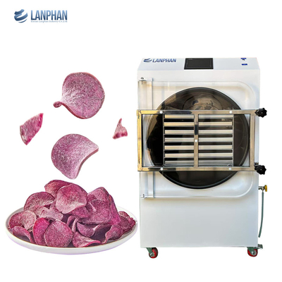 55 kg-60 kg / lote 14 bandejas Máquina de secagem por congelamento comercial 4m2 Secador por congelamento para alimentos