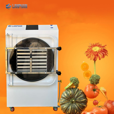 4m2 14 Large Trays Vacuum Food Freeze Dryer Fábrica Fabricante de frutas e legumes