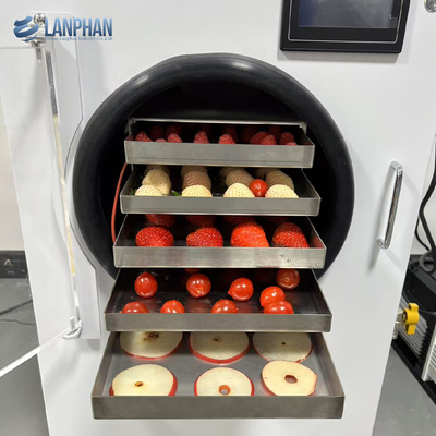 Fabrica fabricante 4-6Kg pequeno liofilizador de alimentos máquina de secagem a vácuo congelador para casa secador a frio
